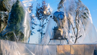 Photographer Hal started his 'Flesh Love All' series in 2016, shooting subjects across Japan.