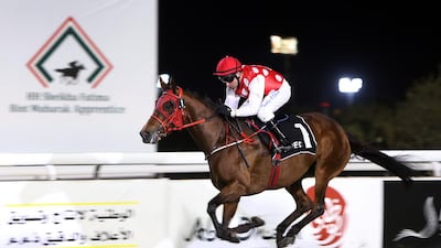 Tadhg O'Shea is the reigning UAE champion jockey and is currently level on 27 race wins with Richard Mullen. Delores Johnson / The National