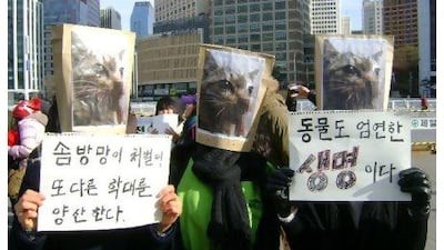 Animal rights campaigners stage a protest in central Seoul.