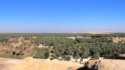 A view of the Al Ahsa Oasis in the desert of Saudi Arabia. Courtesy Francois Cristofoli / Unesco