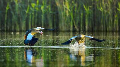 The competition aimed at encouraging photographers to capture images that reflect the reserve’s natural beauty and rich biodiversity.