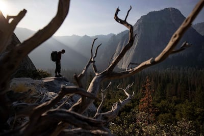 Alex Honnold at the base of El Capitan in Yosemite National Park. National Geographic.