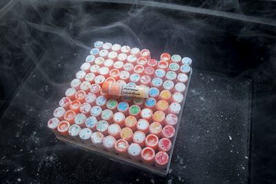 Containing more than 10,700 living cell cultures, San Diego Zoo Wildlife Alliance’s Frozen Zoo is the largest and most diverse collection of its kind in the world. Photo: Darla Davis / San Diego Zoo