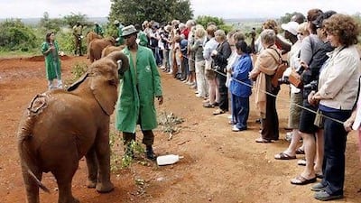 Tourists watch keepers feed milk to orphaned baby elephants at the David Sheldrick Wildlife Trust in Nairobi. EPA