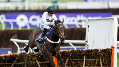 Nico de Boinville on Constitution Hill clears the last to win the Supreme Novices' Hurdle. Getty