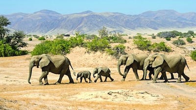 1 Namibia — 9.1 % growth. Primarily a desert country, Namibia boasts striking landscapes and is growing in popularity as a safe yet interesting adventure holiday destination in Africa.
