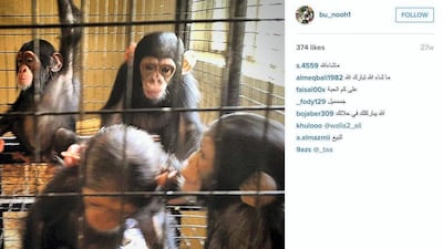 Official government documents from Syria show a million dollar Noah’s Ark of more than 700 animals was signed off for transit over the last 18 months.