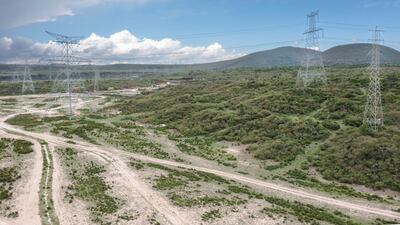 Pylons support high-voltage cables that run through the Lake Elementaita National Wildlife Sanctuary that was declared an Important Bird Area in 1999, in Nakuru, Kenya