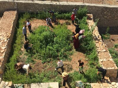 A workshop at Dar Jacir's agricultural terraces in 2018 with Vivien Sansour. Photo Emily Jacir
