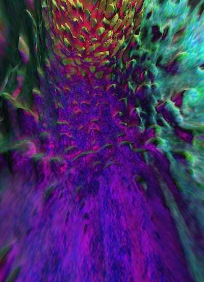 A still from Ayman Zedani’s video imagining the life cycle of oil, titled 'the return of the old ones', 2020. Courtesy the artist