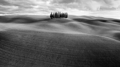Gold medal, Nature — Art, Landscape with trees: San Quirico d'orcia, in Tuscany, Italy, by Federico Testi, Italy.