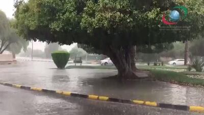 Rain fell in Al Ain on Monday. Courtesy National Centre for Meteorology and Seismology