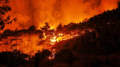 Acrid smoke rises as the wildfire burns near Rabia. AP