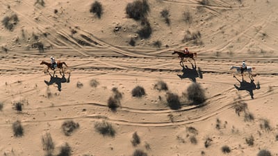 With 162 riders from 37 countries, it was the largest FEI World Endurance Race to that time