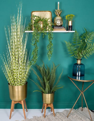 Houseplants are another option. Courtesy Audenza