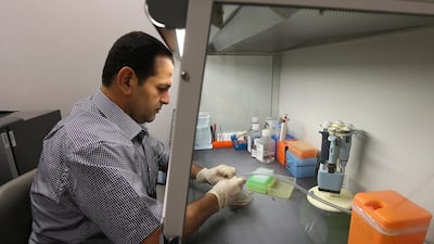 Dr Rabah Iratni , a lead physician and researcher, working in the laboratory at UAE University, Al Ain. Pawan Singh / The National
