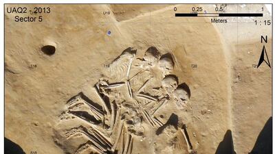 Four bodies were found neatly arranged side by side, along with an individual burial discovered at the inland Umm Al Quwain 2 site south-west of Jazirat Al Hamra. Photo F. Borgi