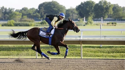 Triple Crown winner American Pharoah with Jorge Alvarez up trains at Monmouth Park in Oceanport, NJ, Saturday, Aug. 1, 2015. American Pharoah is preparing for Sunday's running of the Haskell Invitational horse race. Mel Evans / AP Photo