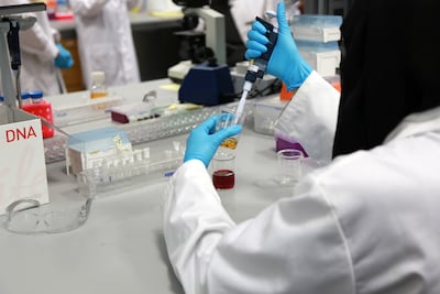 A research centre at NYU Abu Dhabi looks into proteins that could treat Alzheimer's disease. Photo: NYU Abu Dhabi