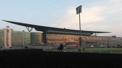Jamesie running during morning training at Meydan Racecourse in Dubai on March 28, 2014. Pawan Singh / The National