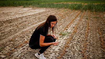 Agricultural entrepreneur Federica Vidali, 29, checks her damaged soy plant, affected by seawater flowing into the drought-hit river Po in Porto Tolle, Italy.