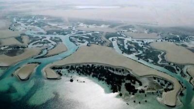Abu Dhabi's mangrove forests can be seen on the flight. Sara Dea / The National