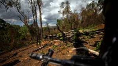 Illegal logging has contributed to the destruction of the Mau Forest in Kenya