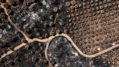 More than 72,000 hectares have been burnt