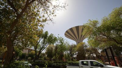 The green initiative also aims to cut carbon dioxide emissions in the Middle East by 60 per cent. AFP