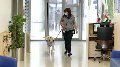 The playful, fluffy, four-year old dog, comes to the school every Sunday and Thursday when pupils and teachers can cuddle and play with it.