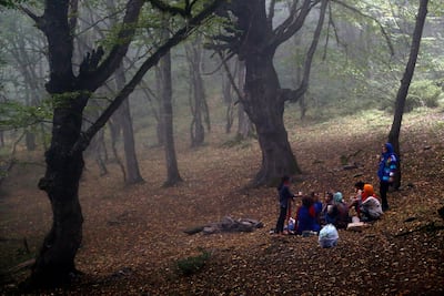 The Hyrcanian forests, given a Unesco World Heritage designation, in Mazandaran province, northern Iran. EPA