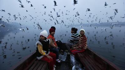Migratory birds fly above children taking a boat ride in the waters of river Yamuna in old Delhi. Ahmad Masood / Reuters