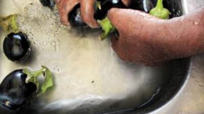 Environment Agency-Abu Dhabi officials believe water-saving devices could save 75 billion litres of water per year.