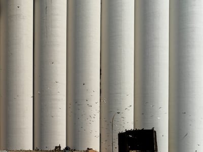 'Bird House' by Dia Mrad. Courtesy of the artist