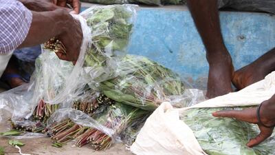Bundles of qat are sorted at a fishing port in Djibouti before being transferred to the north of the country. This shipment is destined for the town of Obock, an hour-long speedboat ride across the Bay of Tadjoura from Djibouti’s capital. Maan Y Ahmed for The National