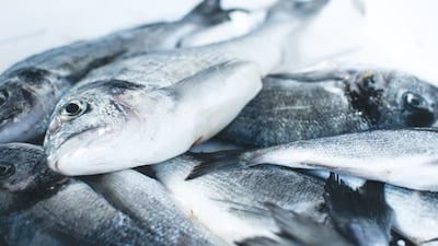 Fish and animal flesh are two of the main triggers of putting someone off food, researches say. Unsplash