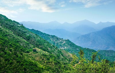 The lush greenery of Saudi Arabia's Jazan resembles the rice terraces of Bali. Courtesy SCTH