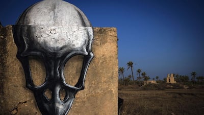 A mural by Belgian artist Roa decorates a wall in the surrounding area of the village of Erriadh. Joel Saget / AFP Photo
