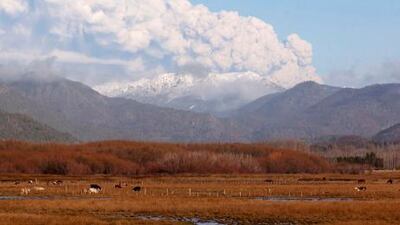 Dubai-based carrier cancels two flights scheduled for today after ash plume drifts across the Pacific.