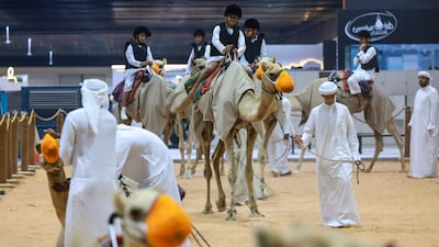 Introduction classes on camel riding during the Sheikh Zayed Summer Festival held at Al Wathba in Abu Dhabi. Victor Besa / The National