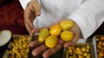 Several hundred thousand tones of dates are harvested in the Emirates every year.