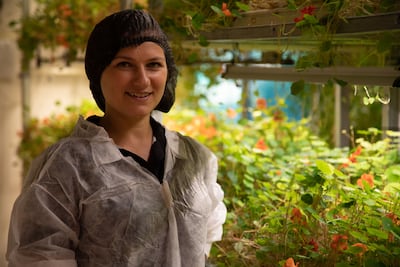 Dutch resident Mary Anne de Haan at her edible flowers farm in Dubai. Suhail Akram / The National