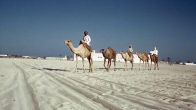 'We used to leave Al Hosn sometimes, for walks, to see the palm trees, our camels or goats,' says Sheikha Mahra.