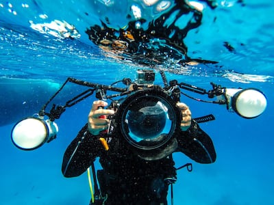 Photographers can take their skills underwater. Courtesy Padi