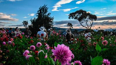 The temperature in Medellin, Colombia, is eternally spring-like, typically varying only 10°C year round, between 18°C and 28°C due to its proximity to the equator. AFP