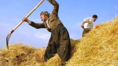 Iraqi Kurdistan officials earlier this year announced plans to spend $10.5 billion over five years on the agriculture sector.