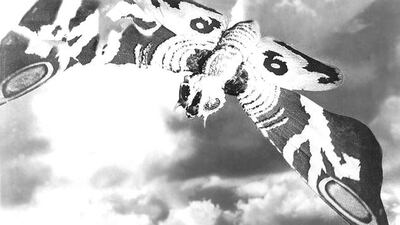 Everett /REX / Shutterstock