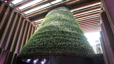 Gold Award: Netherlands, self-built pavilions, Category B (1,750-2,500m2), Architecture & Landscape. Photo: Expo 2020 Dubai