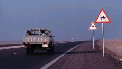 The road, two lanes in each direction, also lacked lighting and fencing, increasing the likelihood of a night-time collision with a roaming ungulate. Courtesy Alain Saint-Hilaire