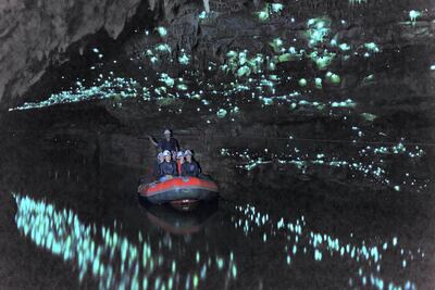 New Zealand's Waitomo caves are pitch black other than the glow from the thousands of glowworms that live in the cave.